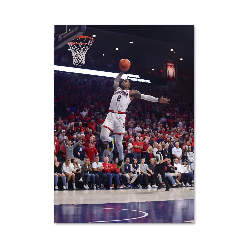 Poster Dunk de l'Esprit Arizona – affiche Basketball